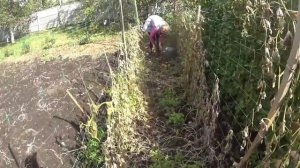 Дела семейные. Осень в деревне. Семейный влог