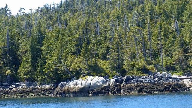 Grizzly Bear Boat Tour смотреть онлайн