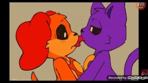 кет неп и дог дей цылуетца