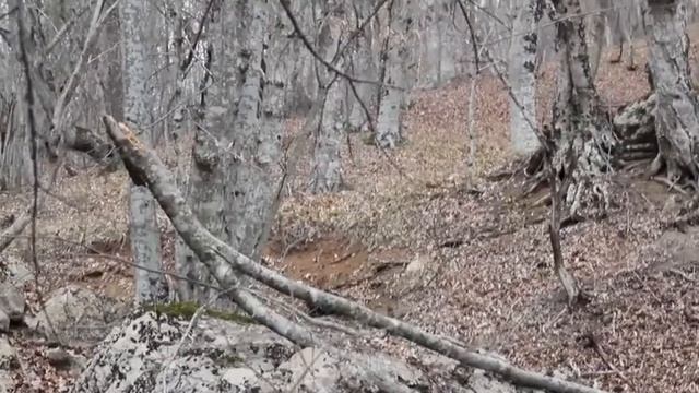 Тренировка по ПСС, Чеба 08.03.13 смотреть онлайн