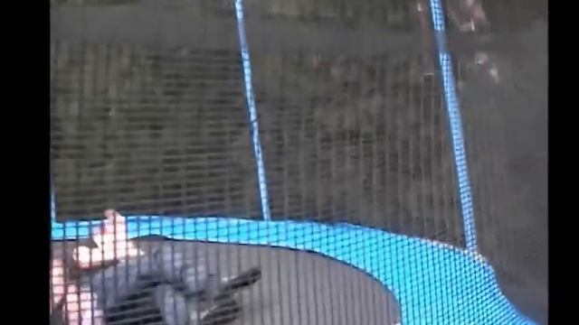 WWE Kids Wrestling, WWE Title Submission Match