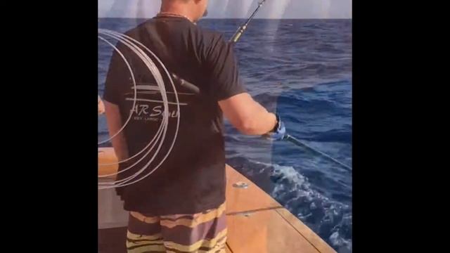 2016 White Marlin Open - Bar South смотреть онлайн