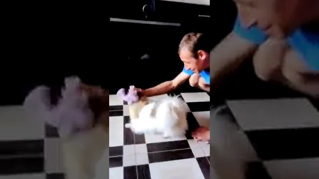 Большеглазый брат с Муськой смотреть онлайн