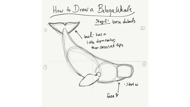 Day 5: How to Draw a Beluga Whale смотреть онлайн