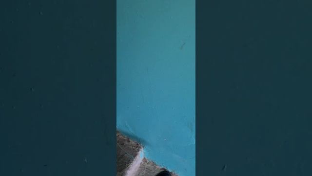 Это Наши дома!