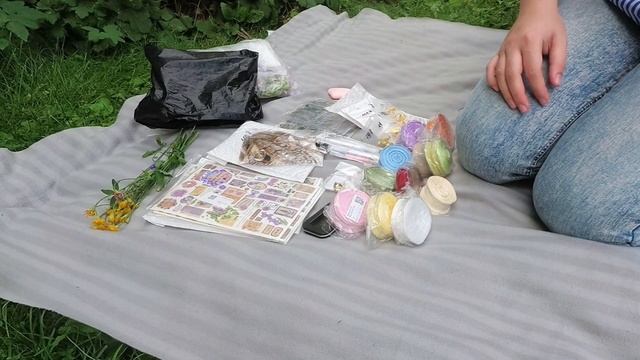 AliExpress и скрапбукинг | Парк Горького и белки смотреть онлайн