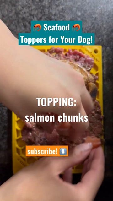 seafood toppers to add to your dog’s lick mat! 🍤 #shorts смотреть онлайн