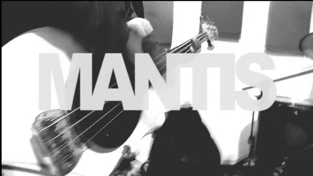 MANTIS (band) - SATAN смотреть онлайн