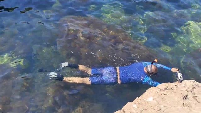 Сибайк и фотограф смотреть онлайн