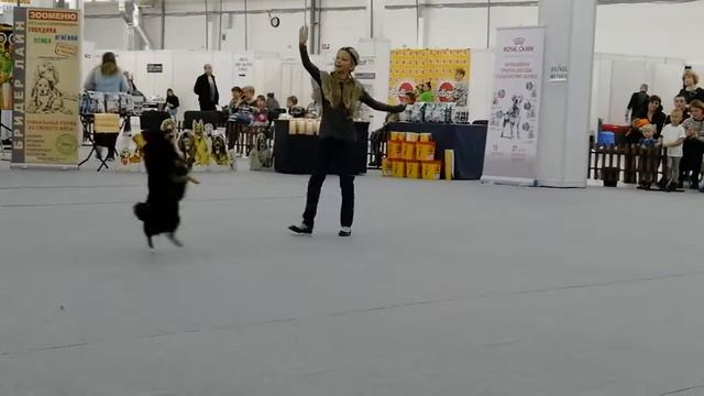 Беби Соколова Полина и Аза смотреть онлайн