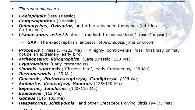 Presentation 8 : Transitional Fossils смотреть онлайн