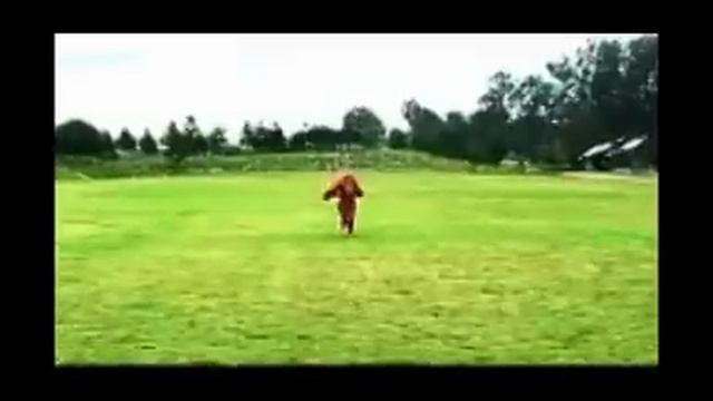New Afghan Music Masuma (singer Shahin Tanin) смотреть онлайн