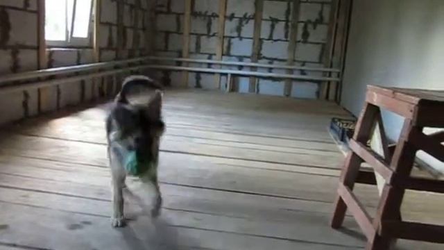 ДЖЕК.AVI смотреть онлайн