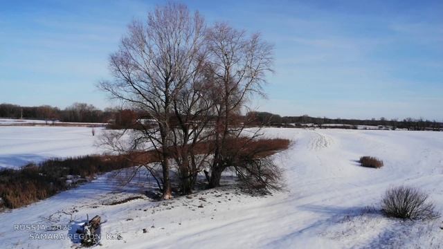 Зимняя прогулка в окрестностях Алексеевских озёр / Волжский район / Самарская область / Russia