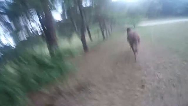 I'm on a horse (GoPro) смотреть онлайн