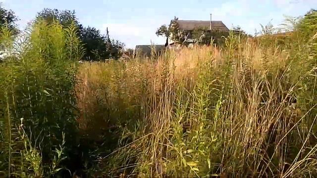 Дуже гарне місце, особливо у призахіднім ☀️😍💓 смотреть онлайн
