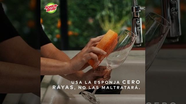Conserva en perfecto estado tu cristalería con ayuda de tu esponja Cero Rayas. смотреть онлайн