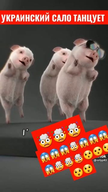 шоок украинский сало танцует 😱🤯🤯🤯😱🤯🤯🤯😱🤯 смотреть онлайн