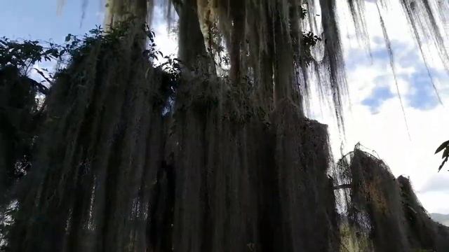 Short trip to Jardín - travelling in COVID times │ Colombia travelling 哥倫比亞旅遊 (pt.1) смотреть онлайн