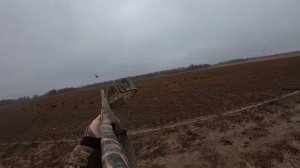 Arkansas Specklebelly Goose Hunting
