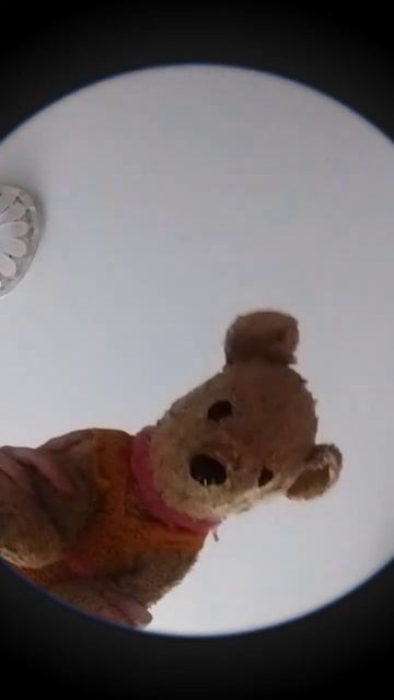 это не квадробика ,но я пыталась взять кота но он меня прцарапал смотреть онлайн