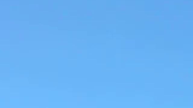 birdfly2.AVI смотреть онлайн