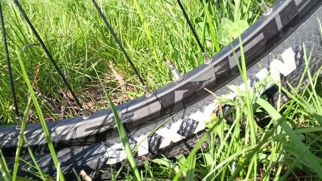 Twitter Warrior Pro - Краткий обзор