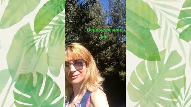 Приветствую!🌴🌲Лесная прогулка смотреть онлайн