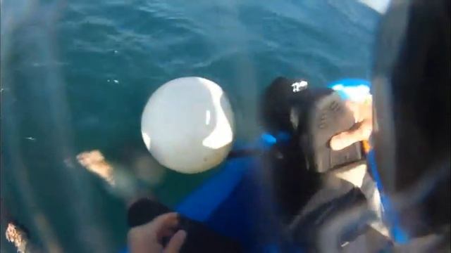 Kimmeridge SUP adventure смотреть онлайн