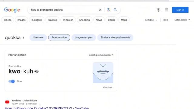 Quokka😛 #shorts #yt #famous #viral #fyp #foryou #youtubeshorts #funny #fun #meme #skz #kpop #edit смотреть онлайн
