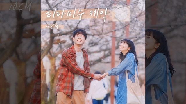 Tiramisu Cake (티라미수 케익)