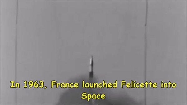 What Happened to Felicette in Space? *First Cat in Space*