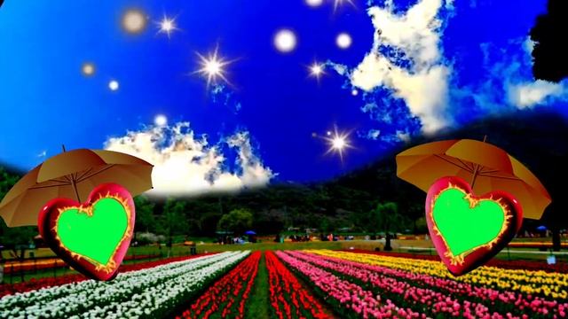 Logo projector green screen background chand taro me najar aaya chahra tera смотреть онлайн