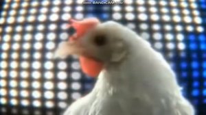 танцюют всЕ! песня про куриЦу!