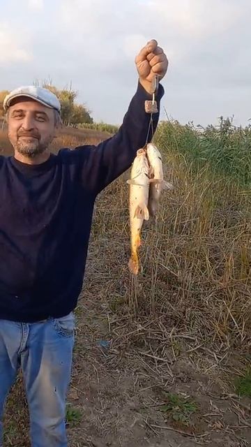 ПОЙМАЛ СЛУЧАЙНО САЗАНА смотреть онлайн