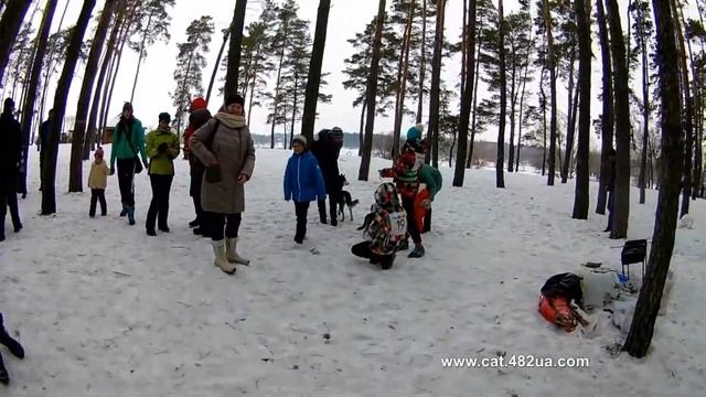 5 #Winterdogfest Winter dog fest 2019, Песочин, 10022019, собаки, зимнии забавы смотреть онлайн