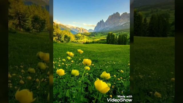 Мавлави чунуни, киёмат смотреть онлайн