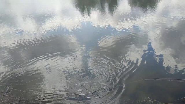 23-04-2024 г. Выезд на рыбалку с сыном его первая щука и первый его улов. смотреть онлайн