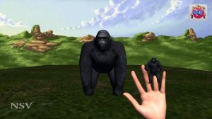Gorilla Finger Family | Gummy Gorilla brake The Wall Nursery Rhymes | NSV 3D Rhymes