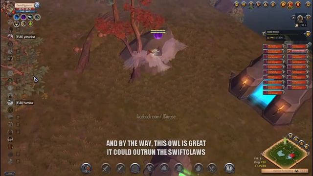 We are "GANKING" | INTO THE BLACKZONE - Albion Online 🎁Grizzly Bear & Divine Owl GIVEAWAY🎁 смотреть онлайн