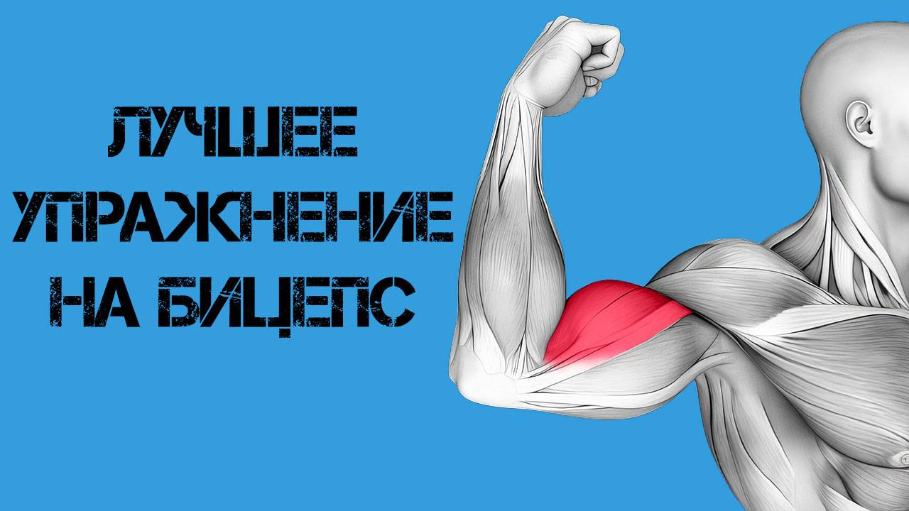 Как накачать бицепс? Одно из лучших упражнений на бицепс смотреть онлайн