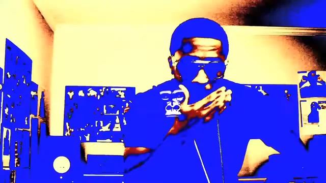 Gorilla Zoe - Work смотреть онлайн