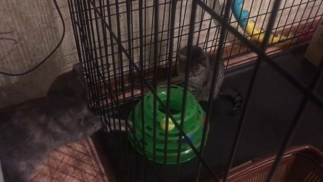 Выход всегда найдётся :) смотреть онлайн