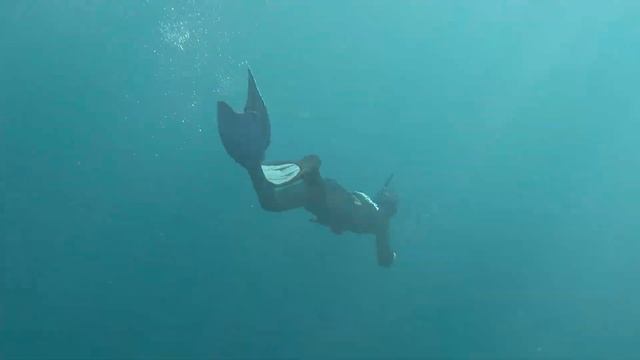 воды Баренцева моря смотреть онлайн