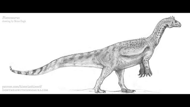 Ngwevu - Cráneo Gris - DinoPedias 🇿🇦 смотреть онлайн