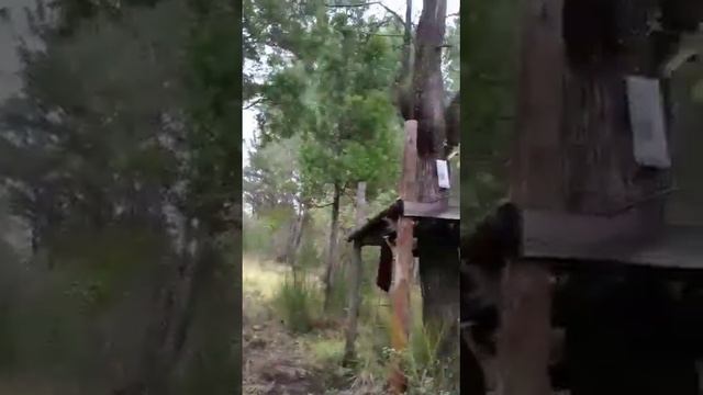 Contemplar Naturaleza Padre Fabian Esteban Oliva. 21/07/22 смотреть онлайн