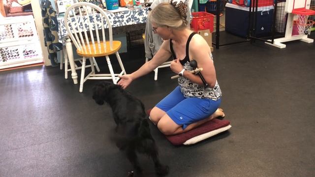 Olive 5-21-21 games смотреть онлайн