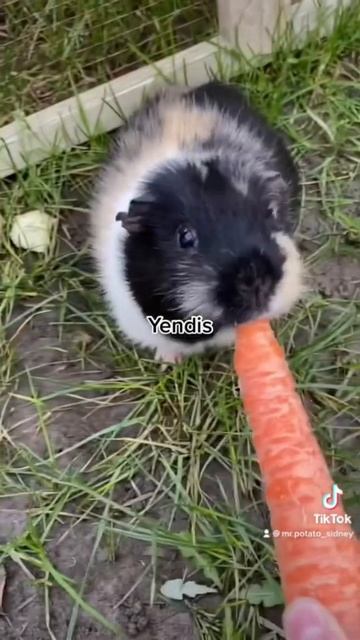 11 May 2022 смотреть онлайн