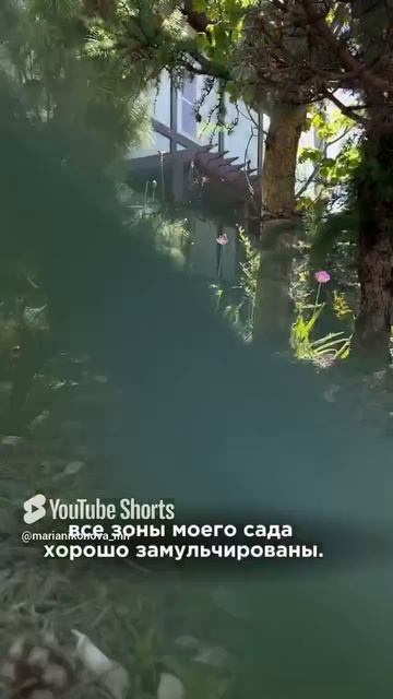 КАК В ПРИРОДЕ… смотреть онлайн