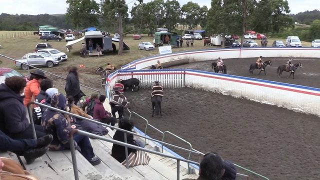 Rodeo Asoc. Llanquihue 27 feb 2022 смотреть онлайн